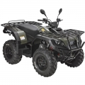 ATV Quad от дороги 4 x 4 300cc зеленый 