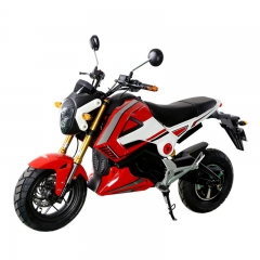 Adults Electriec Motorbike 1000W