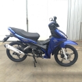 Детеныш Motorcyce 125cc 17