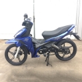 Детеныш Motorcyce 125cc 17